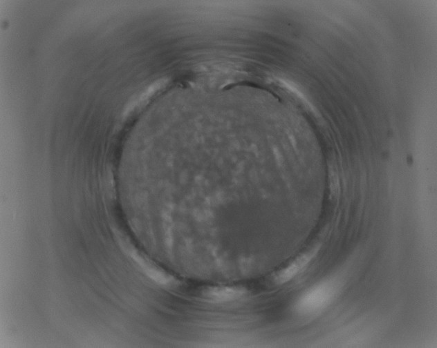 X0000077360453200611101643