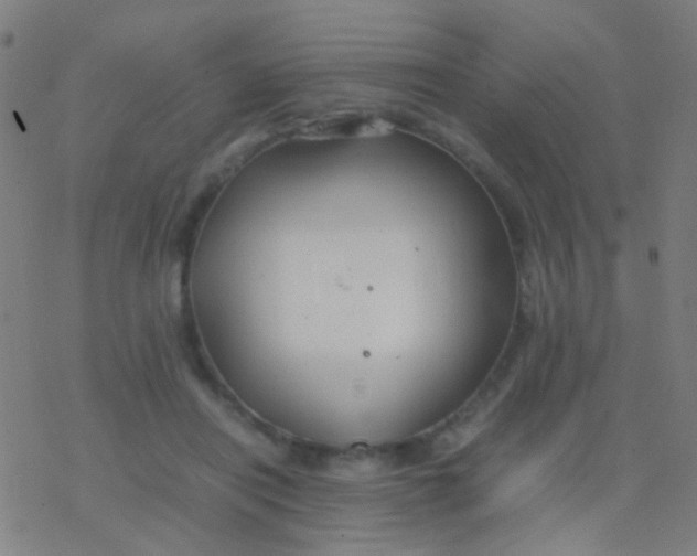 X0000077360454200611101643