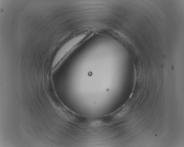 X0000077360456200611101643