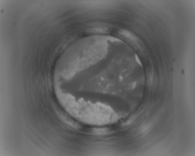 X0000077360457200611101643