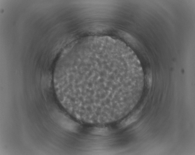 X0000077360458200611101643