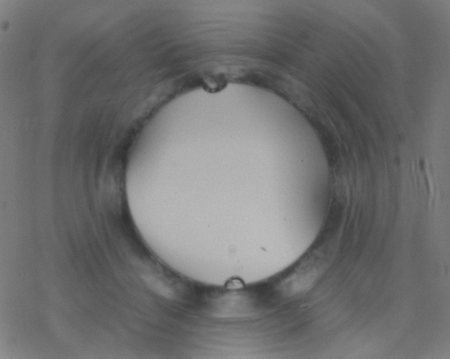 X0000077360460200611101643