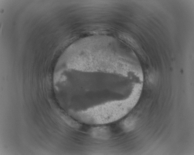 X0000077360461200611101643