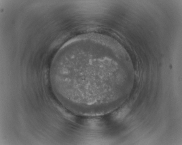 X0000077360462200611101643