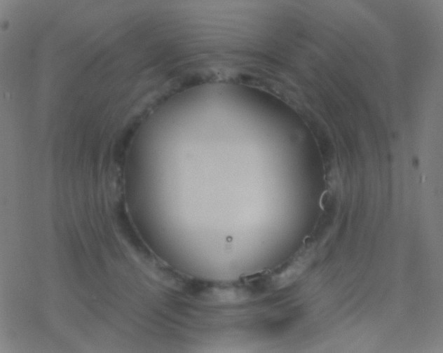 X0000077360464200611101643