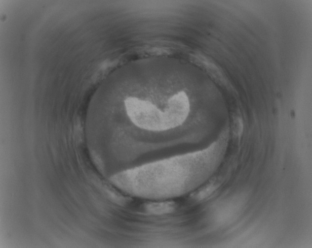 X0000077360465200611101643