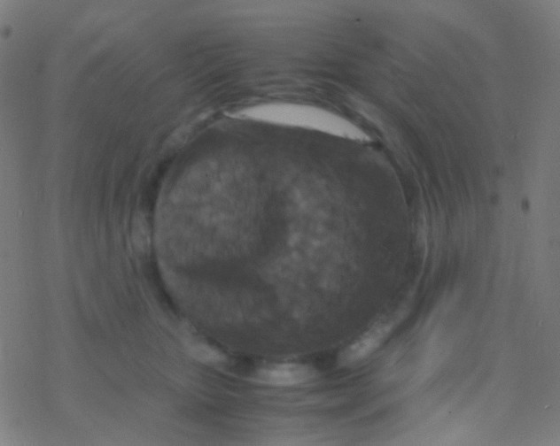 X0000077360467200611101643