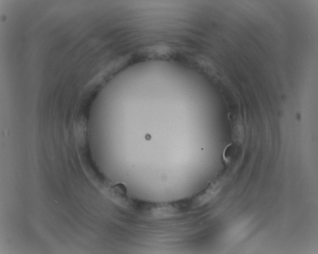 X0000077360468200611101643