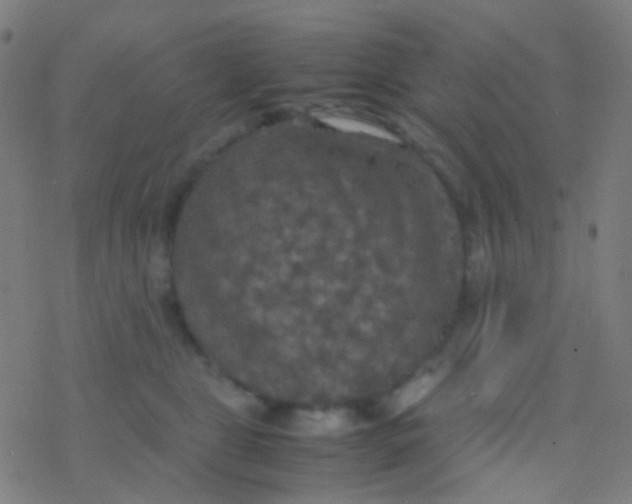 X0000077360469200611101643