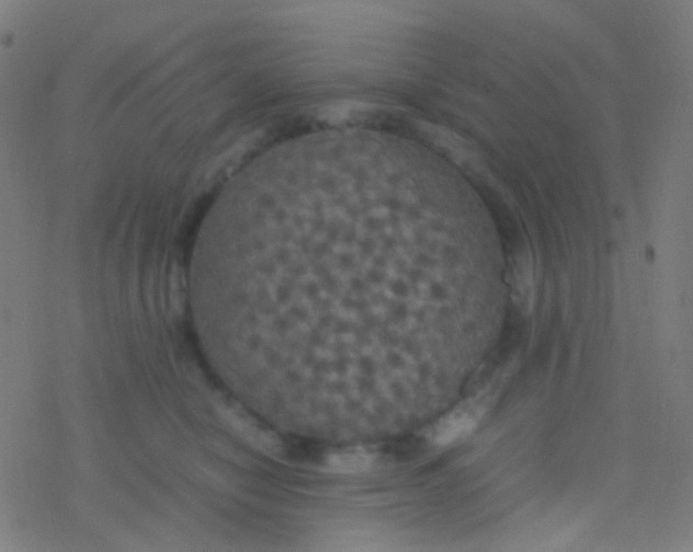 X0000077360470200611101643