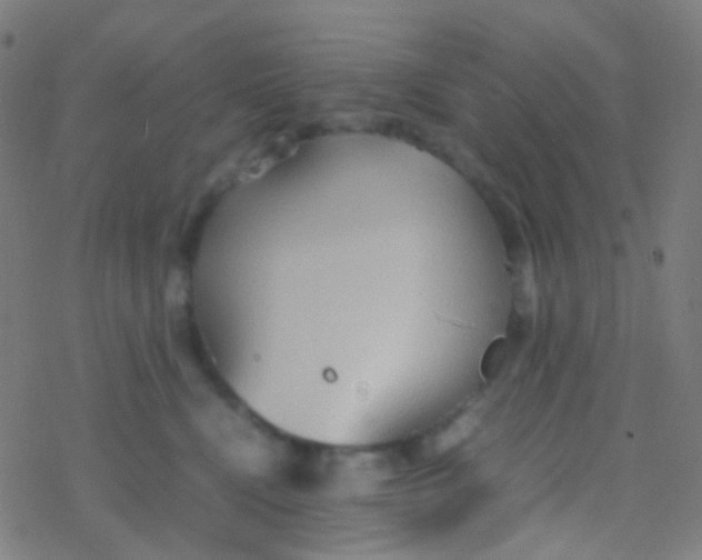 X0000077360472200611101643