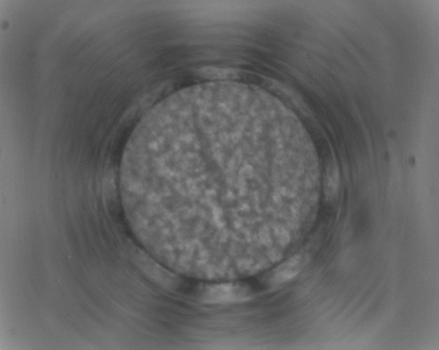 X0000077360473200611101643