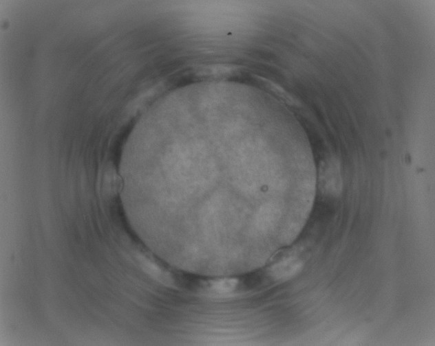 X0000077360474200611101643