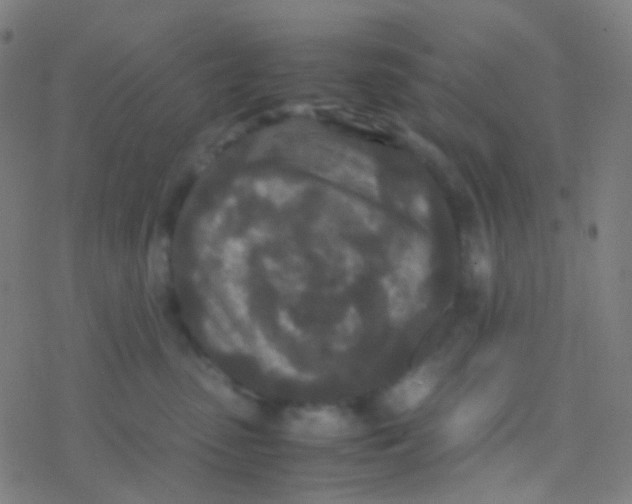 X0000077360475200611101644