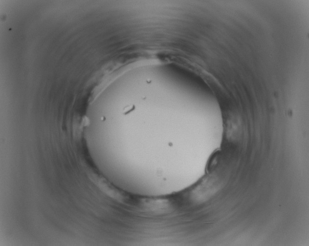 X0000077360476200611101644