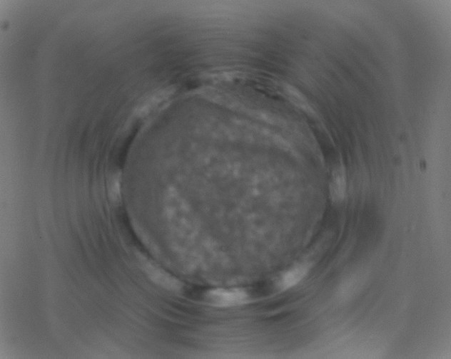 X0000077360477200611101644