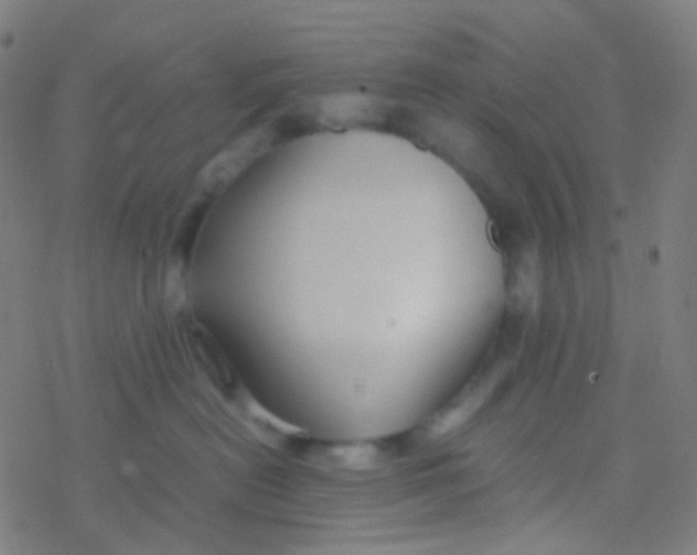 X0000077360478200611101644