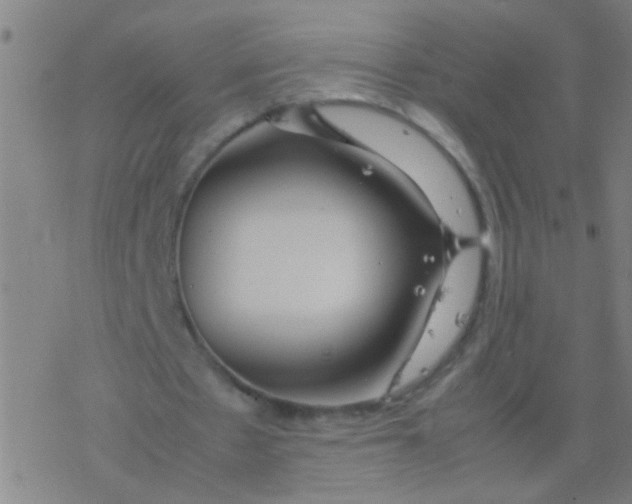 X0000077360481200611101643