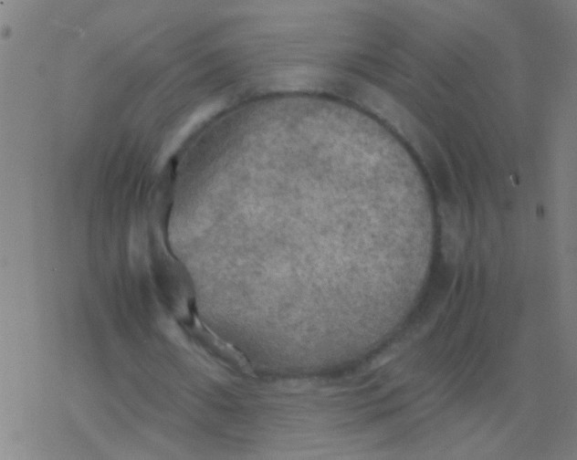 X0000077360482200611101643