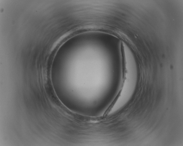 X0000077360484200611101643