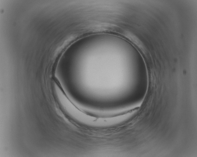 X0000077360485200611101643