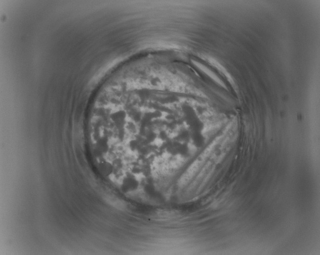 X0000077360487200611101643