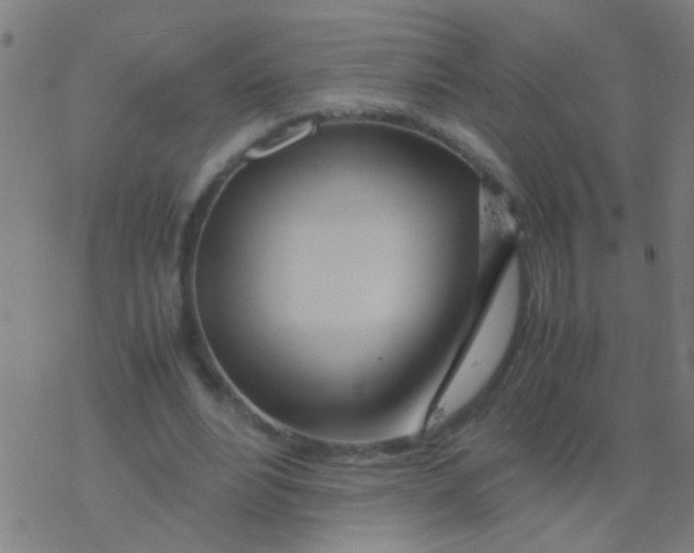 X0000077360488200611101643