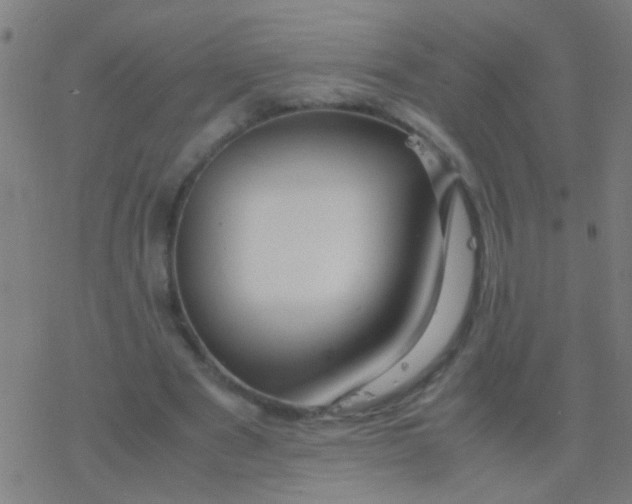 X0000077360489200611101643