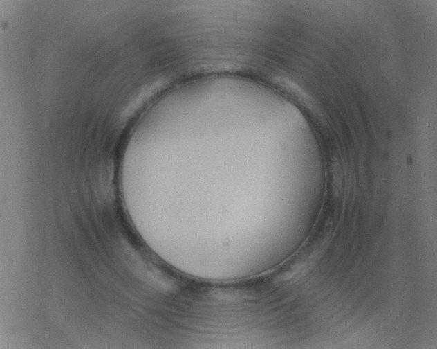 X0000077360490200611101643