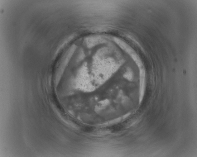 X0000077360491200611101643