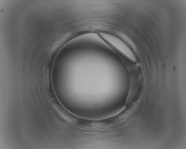 X0000077360493200611101643