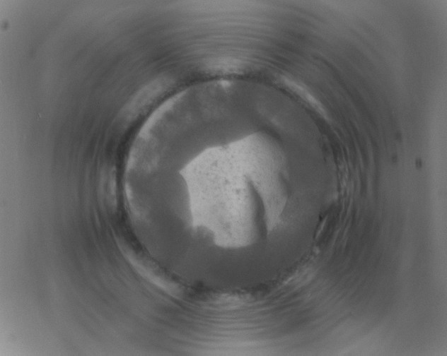 X0000077360494200611101643