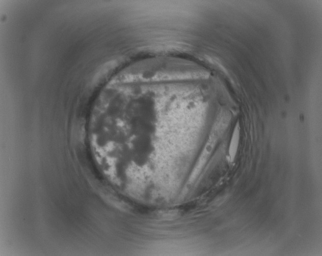 X0000077360495200611101643