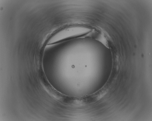 X0000077360496200611101643