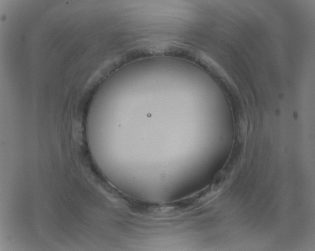 X0000077360497200611101643