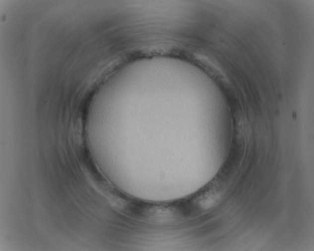 X0000077360498200611101643