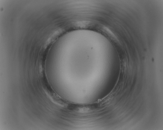 X0000077360500200611101642