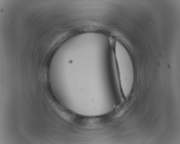 X0000077360501200611101642