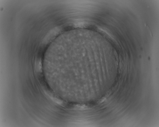 X0000077360502200611101642