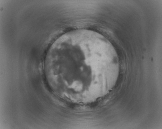 X0000077360503200611101642