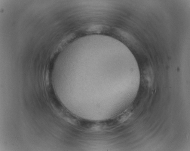 X0000077360504200611101642