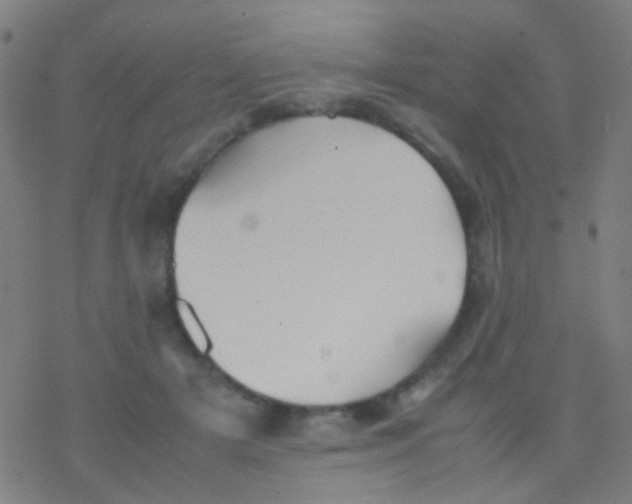 X0000077360505200611101642