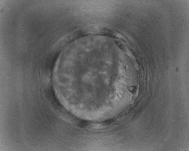 X0000077360507200611101642