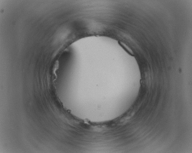 X0000077360508200611101642