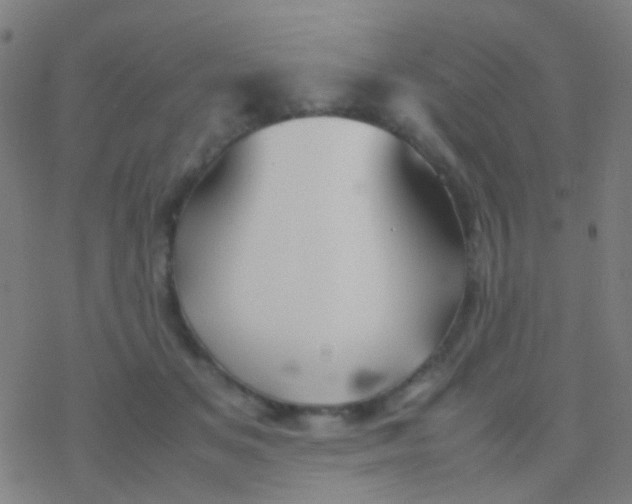 X0000077360509200611101642