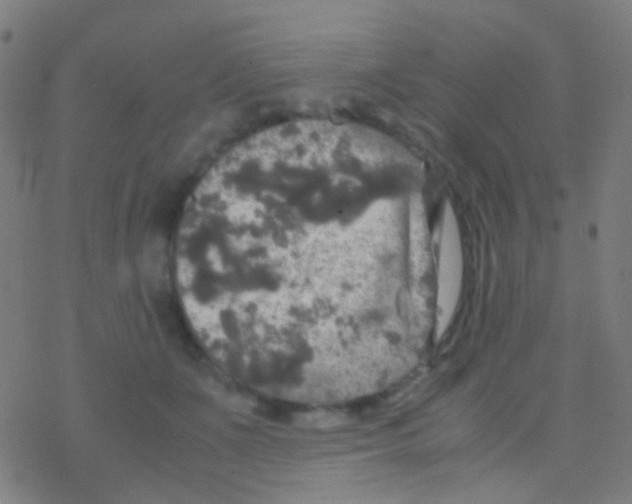 X0000077360511200611101642