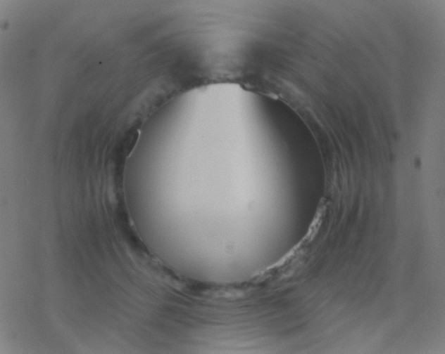 X0000077360512200611101642