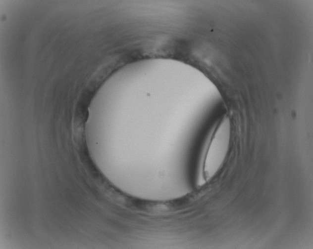 X0000077360513200611101642