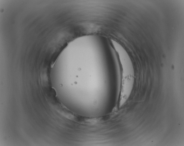 X0000077360516200611101642