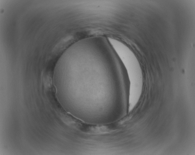 X0000077360517200611101642